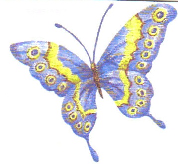 Butterfly - Tattoo or not?