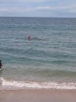 ocean scene - beach scene with divers