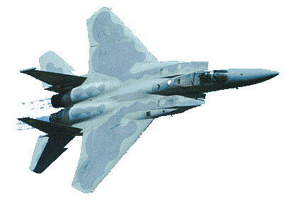 jet - the worrier of the air.the supersonic beast.can devastate anything