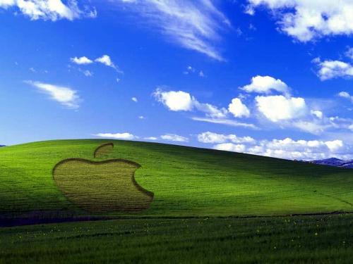 apple wall paper - check out this wonderful apple wallpapper in the form of xp version.