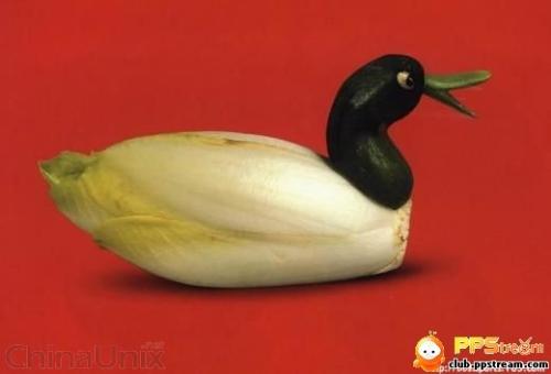 duck made from vegetables  - it is a duck made from vegetables.
