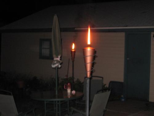 Tiki Torches - My tiki torches in my back yard