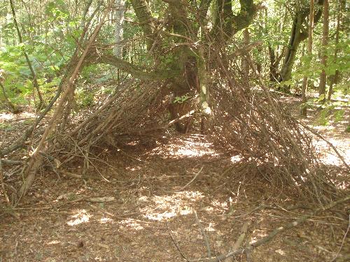 Hide Made From Sticks - St. Leonards Forest... a hide made from sticks.