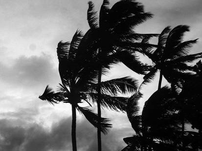 windy evening - a simple pix,clicked thru pentax 36