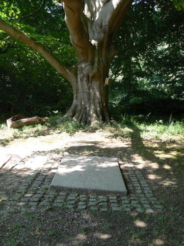 Karen Blixen's grave - Rungstedlund, Denmark. The birthhome of Karen Blixen, author of Out of Africa, and the place where she is buried. She is buried under a huge beech tree.