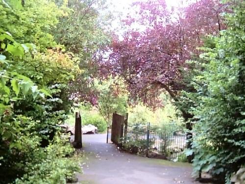 Pretty Coloured Trees in Grove Park Weston super M - Grove Park, in Weston super Mare, North Somerset, England, UK, a picture of some trees near one of the ponds