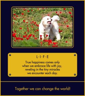 'Life'_E-Card - 'True happiness comes only when we embrace life with joy, reveling in the tiny miracles we encounter each day.'  God bless your life! http://www.mypowermall.com/biz/home/19447