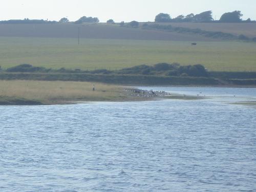 Seven Sisters Country Park - Seven Sisters Country Park... halfway approximately, to the beach.