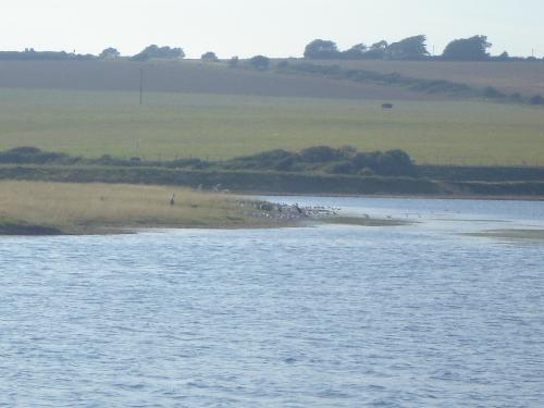 Seven Sisters Country Park - View across the River back to the start of the walk.