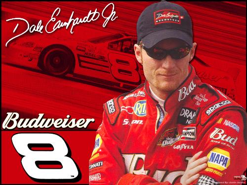 dale earnhardt jr - dale earnhardt jr - DEI - #8 - Budweiser Chevy