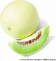 Honeydew melon - Ripe or not?