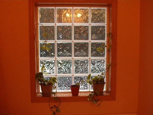 Ivy growing along bathroom window sill. - I'm hoping these will grow good cause I am slowly training them to trail around the window.