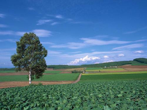 the dream of my living place - the pic is my dream of living the place like this,i want to have a simple life in the farm,there isn't any discharge gas ,the air is fresh all the time,and no crime there and people live there peaceful and happy.
