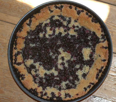Bluberry pie - This Blueberry pie I made today with fresh bluberry.