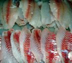 Fish filets in the meat market - I love talapia. I take the filets and sprinkle them with salt, italian seasoning and lemon pepper. Spray them with fat free cooking spray, and broil them for about 4 minutes on each side. The trick is not to over cook them or they get tough and rubbery.
