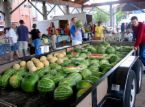 Watermelon Sales at the Farmers market - Photo of little rock's Rivermarket where the farmers market is open two days a week. Here you have a seller of watermelons and cantaloupes. Grown fresh right here in central arkansas and brought to the farmers market to consumers. Cuts out the grocery stores which tack on their prices as well.