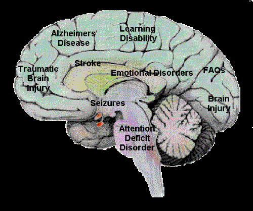 psychology - medicine