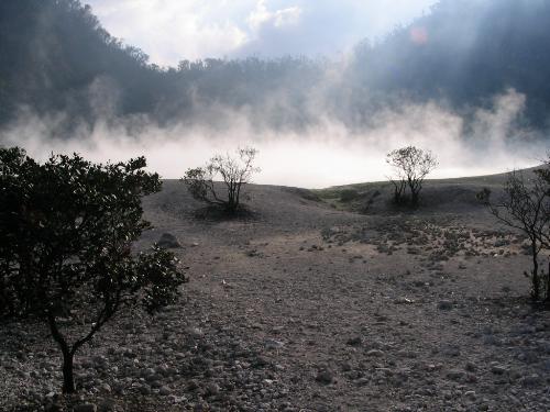 nature - scenery