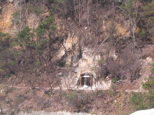 nature - secret place?