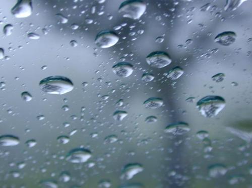 rain  - rain drops on window