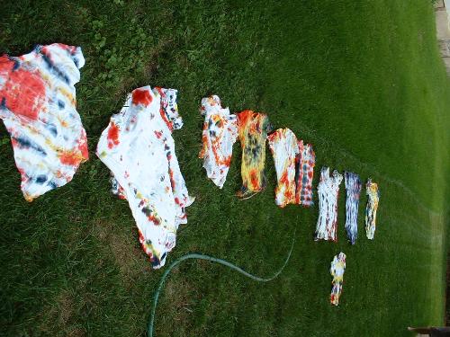 A whole slew of t-shirts - Here they ALL are, laid out on the lawn, ready to be rinsed with the garden hose.