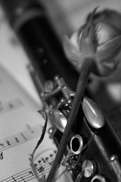 band - a very nice pic of a clarinet