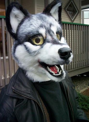 Wolf Fursuit - picture of a wolf head, part of a fursuit