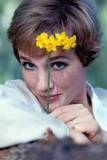 Julie Andrews - photo of Julie Andrews