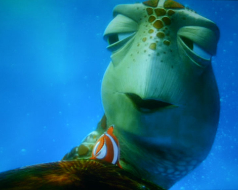 Finding Nemo cover - sea turtle dude