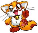 cat - none