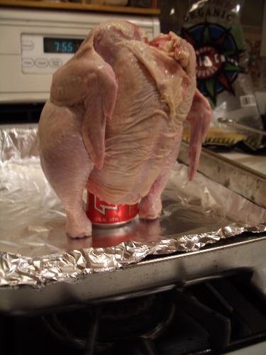 chicken  - chicken pictures