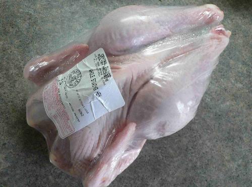 chicken - chicken pictures