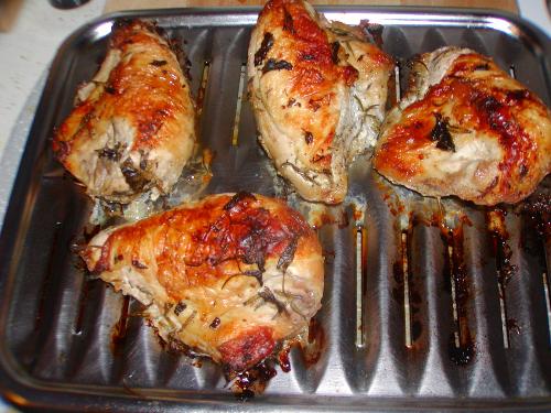 chicken - chicken pictures