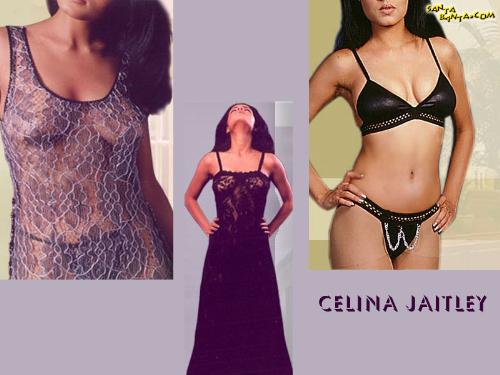celina jetlei my favorite ! -  she is my favorite hot superstar !