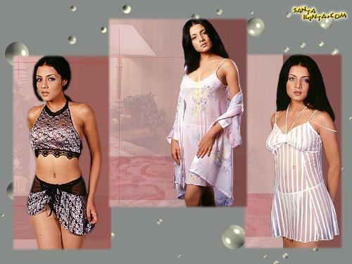 celina jetlei my favorite ! -  she is my favorite hot superstar !
