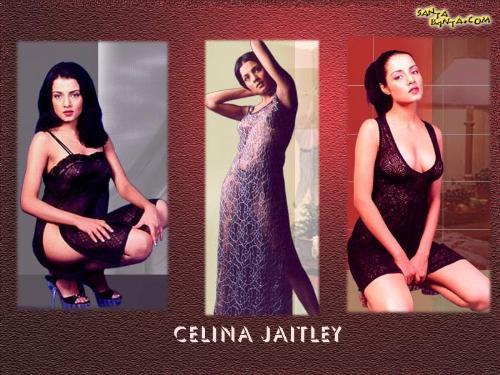 celina jetlei my favorite ! -  she is my favorite hot superstar !