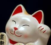 Lucky cat - Lucky cat. This is a cute Japanese Lucky Cat.