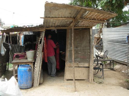 Chicken Shop - Chicken shop for india