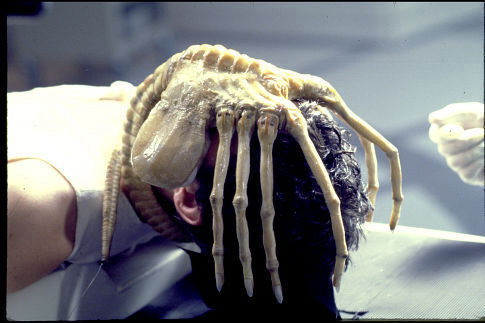 Alien (1979) - A Moviestill from the movie Alien