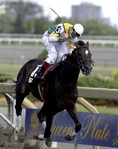 sports - horse racing