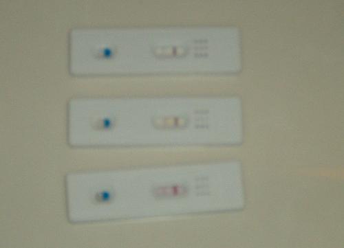 My pregnancy tests! It's offical. - One year in the making. I am so excited to show off my positive pregnancy tests.