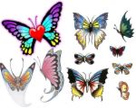 Colourful butterflies - butterflies
