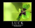 four leaf clover - I have no luck!