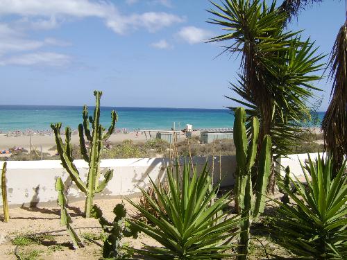 fuerteventura beach - photograph of the beach at costa calma, fuerteventura.  from the africa bar.