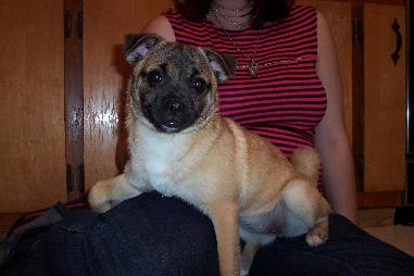 My Frankie - Isn't she so cute??