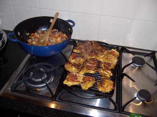 chicken - chicken pictures