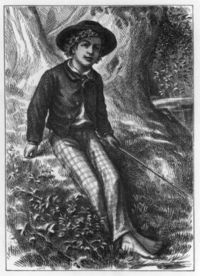 The Adventures of Tom Sawyer avatar - Book Cover 'The Adventures of Tom Sawyer