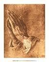 praying hands - the praying hands