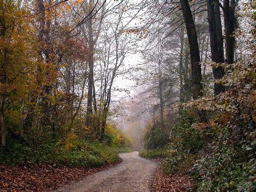 My Fav Time of Year - _