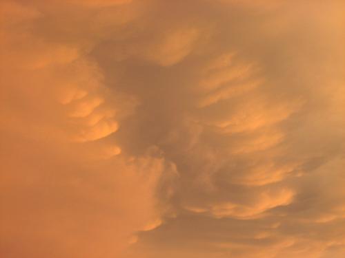 Orange Clouds - Colored orange by the setting sun just as a storm approached